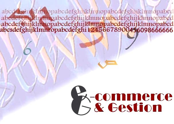 ecommerce et gestion web-marketing ecommerce et gestion web-marketing